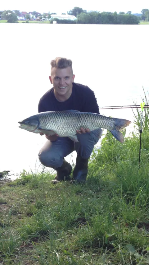 Graskarpfen
