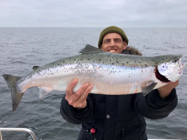 Lachs