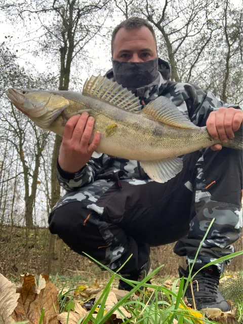 Zander