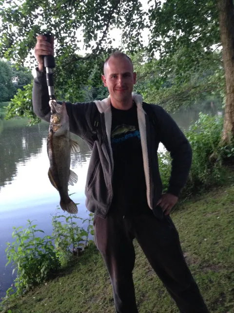 Zander