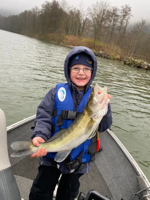Zander