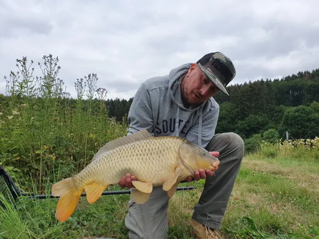 Karpfen