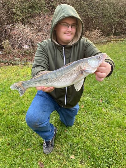 Zander