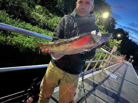 Zander