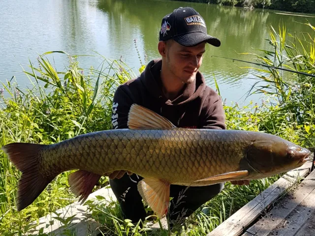 Graskarpfen