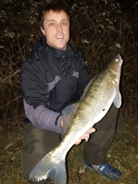 Zander