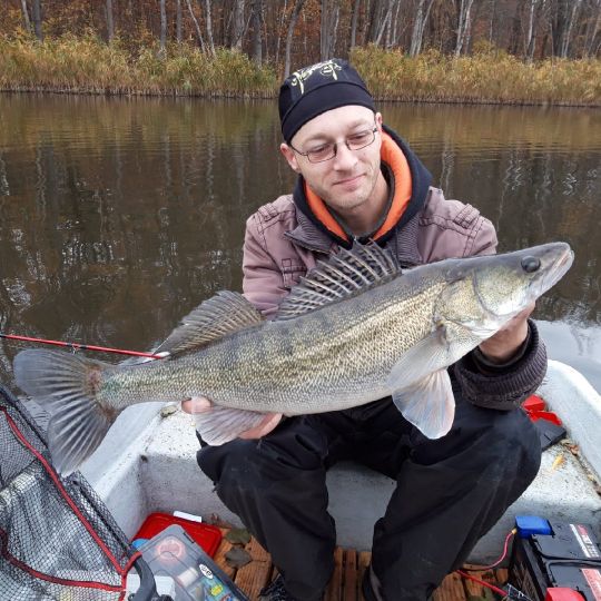 Zander