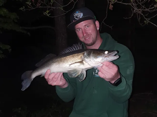 Zander