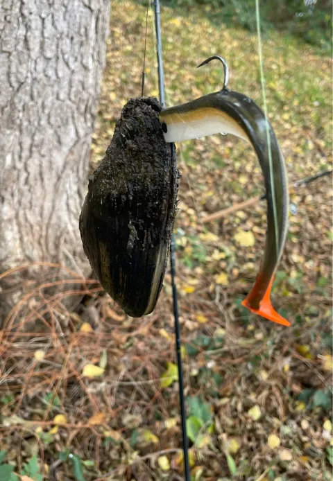 Sonstiges