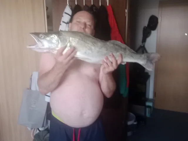 Zander