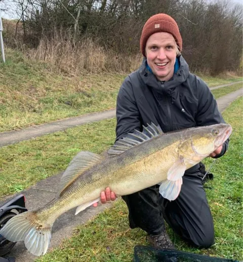 Zander