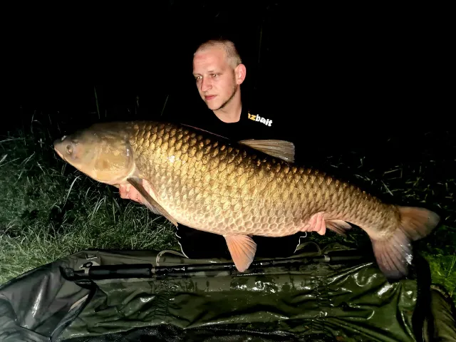 Graskarpfen