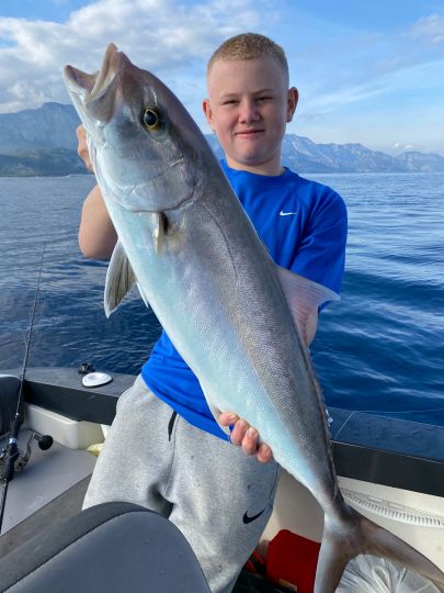 Amberjack