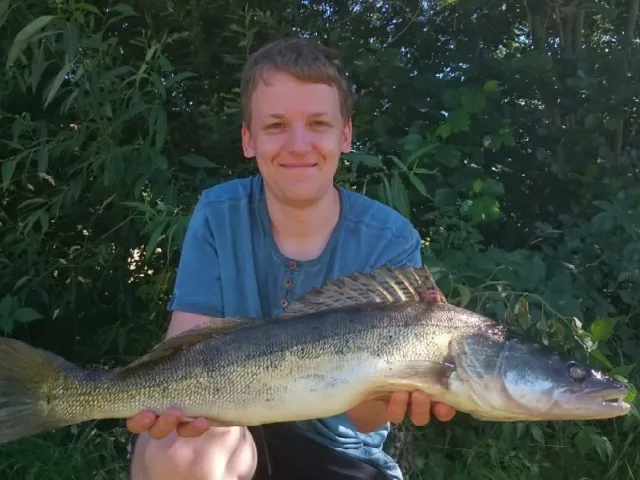 Zander