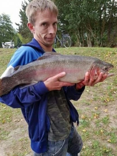 Regenbogenforelle