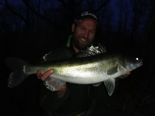 Zander