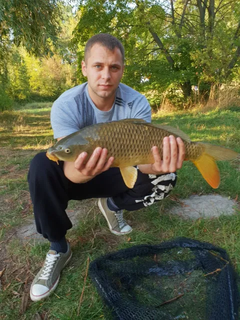Karpfen