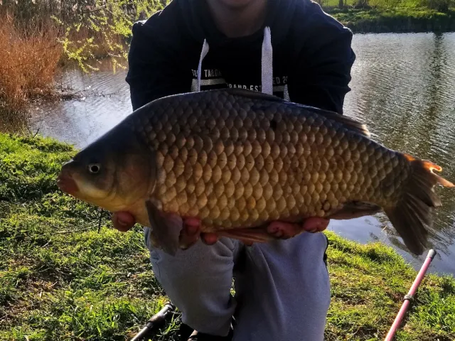 Giebel