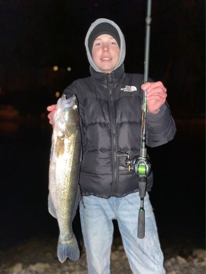 Zander