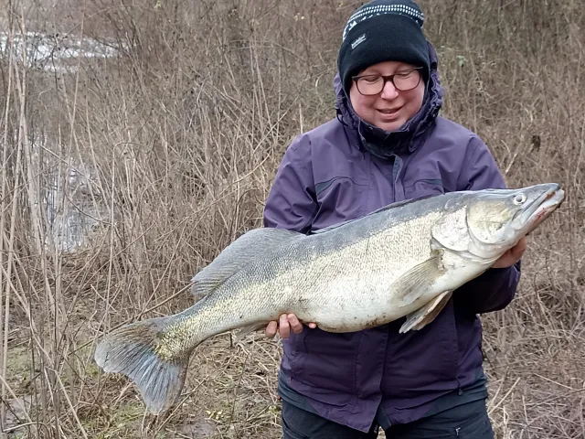 Zander