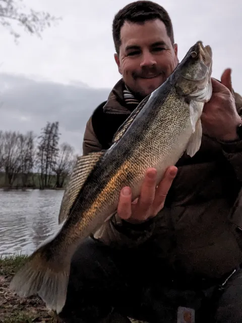 Zander
