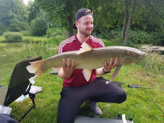 Graskarpfen