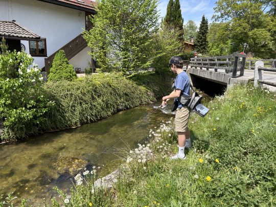 Döbel