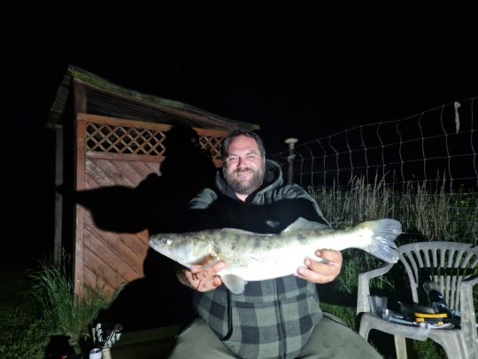 Zander