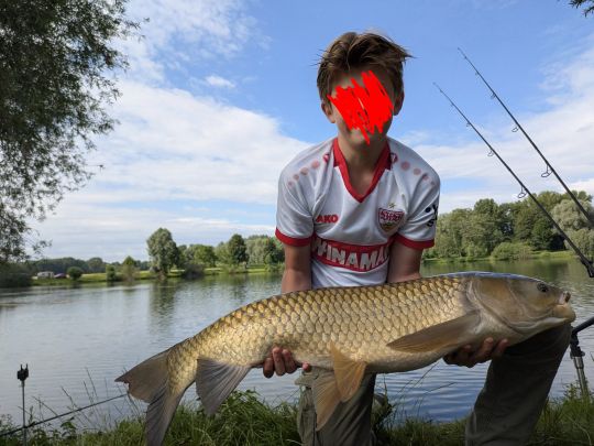 Graskarpfen
