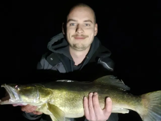 Zander