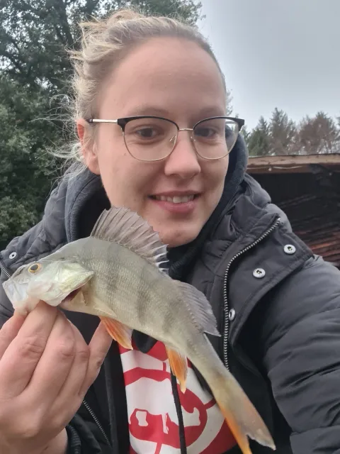 Flussbarsch