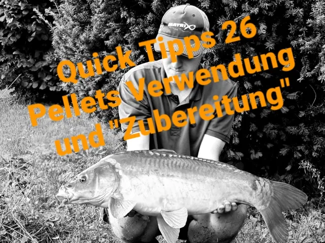 Karpfen