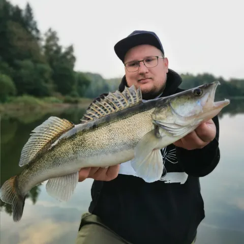Zander