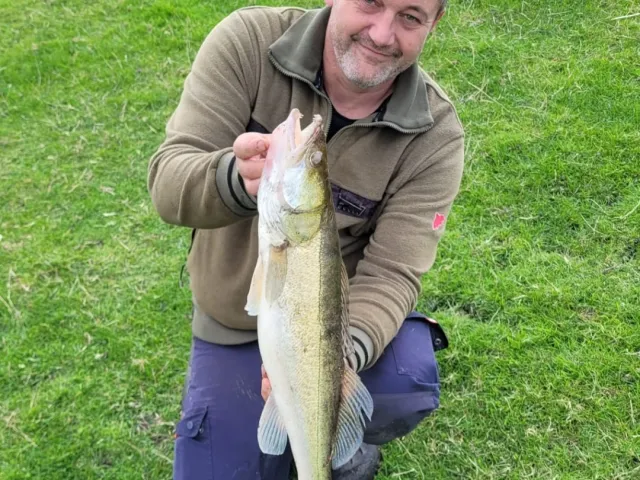 Zander