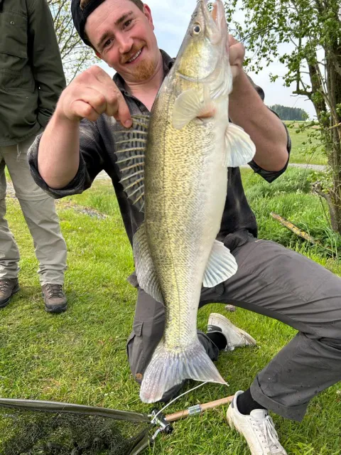 Zander
