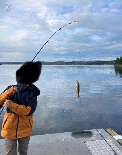 Lippfisch