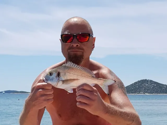 Dorade