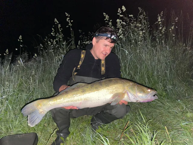 Zander