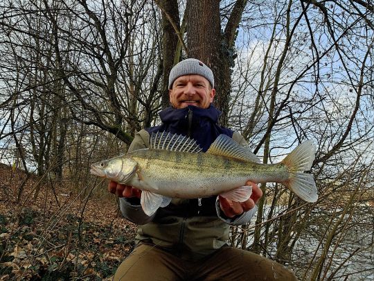 Zander