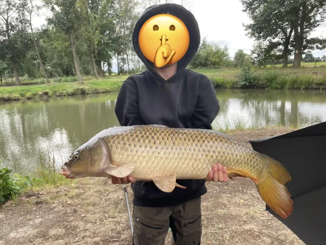 Karpfen