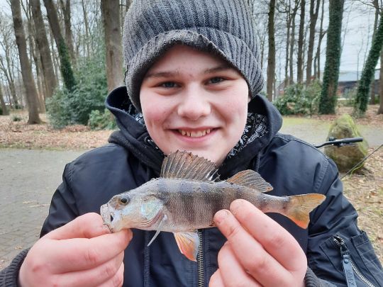Flussbarsch
