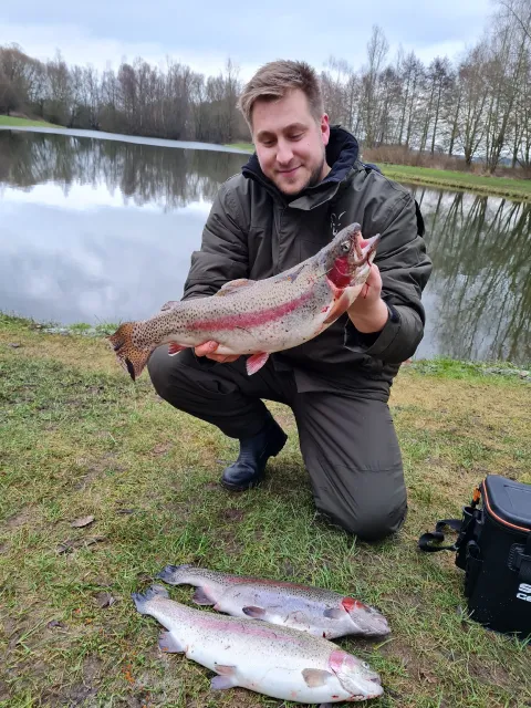Regenbogenforelle