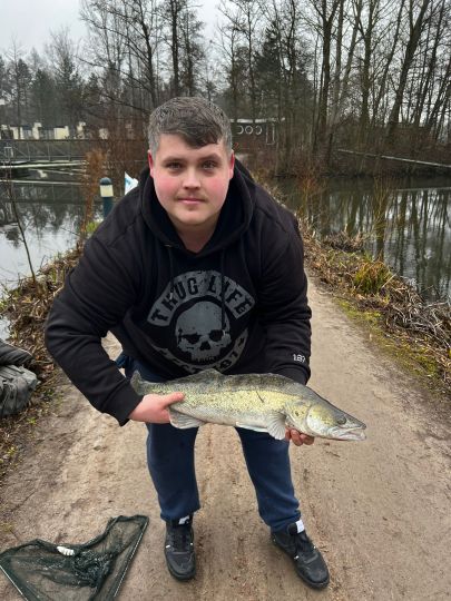 Zander