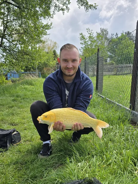 Karpfen