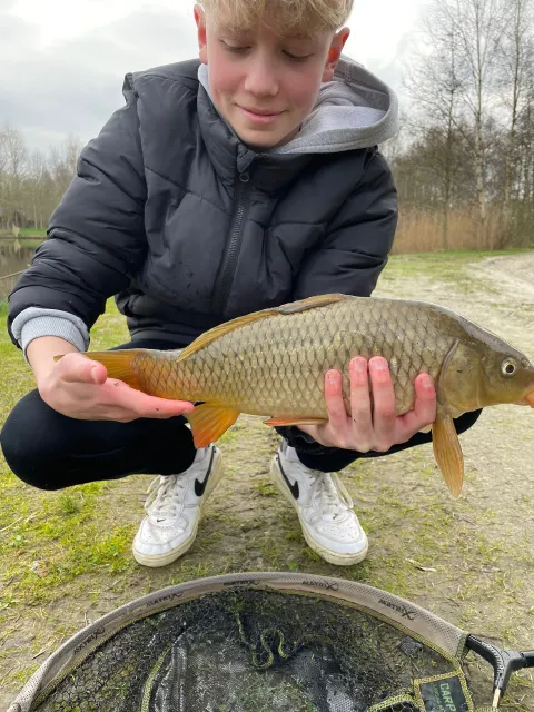 Karpfen