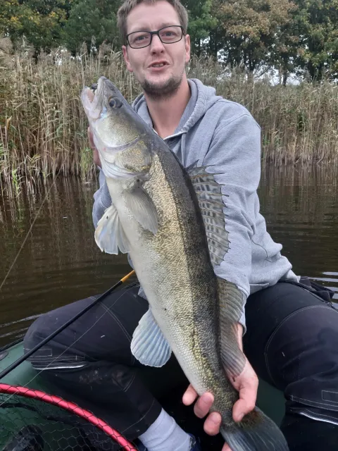 Zander