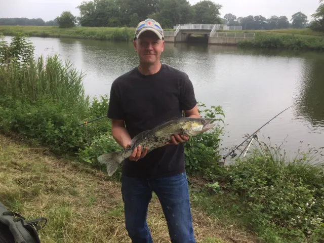 Zander