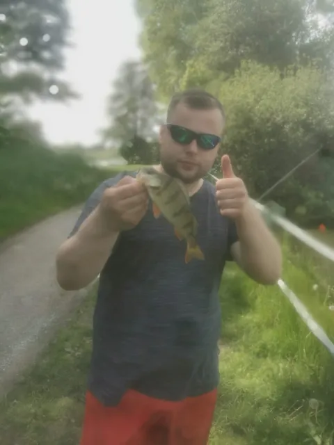 Flussbarsch