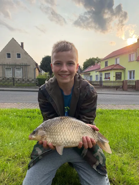 Giebel