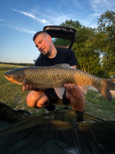 Graskarpfen